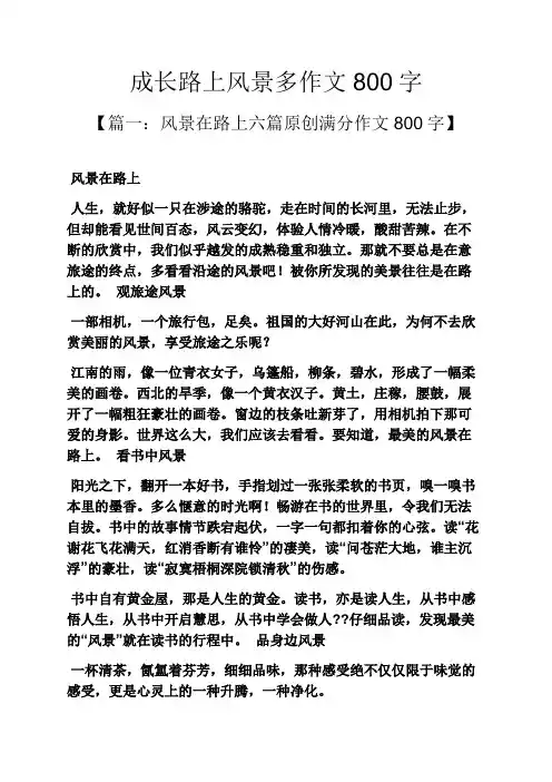 成长作文之成长路上风景多作文800字