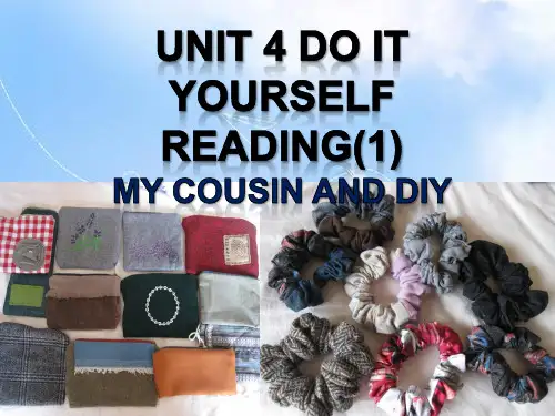 牛津译林版八年级英语上册 Unit 4 Do it yourself课件