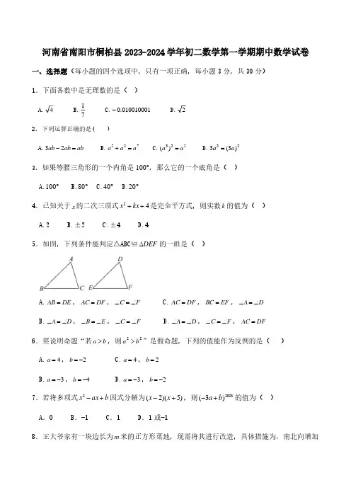 河南省南阳市桐柏县2023-2024学年初二数学第一学期期中数学试卷及参考答案