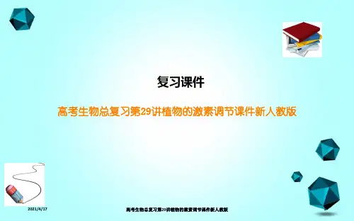 高考生物总复习第29讲植物的激素调节课件新人教版