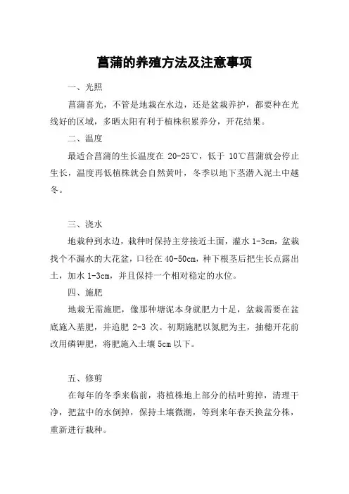菖蒲的养殖方法及注意事项