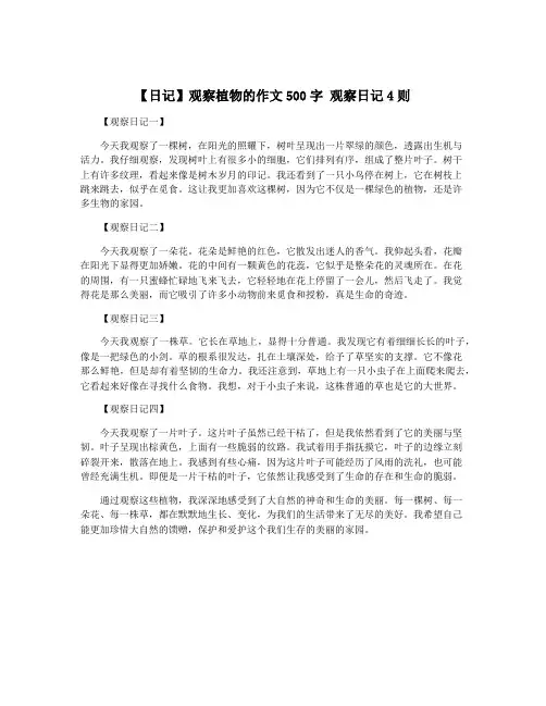 【日记】观察植物的作文500字 观察日记4则