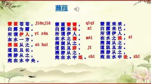 《蒹葭》公开课课件