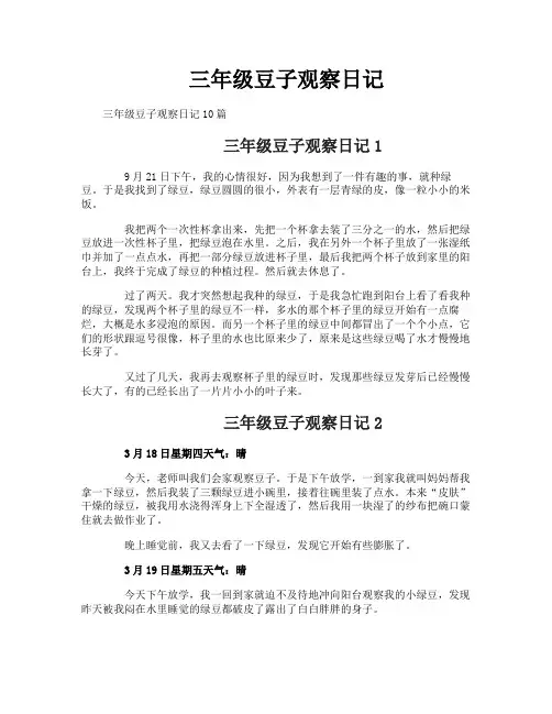 三年级豆子观察日记