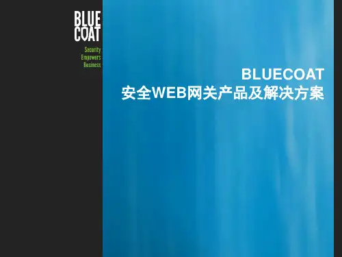 BLUECOAT 安全WEB网关产品及解决方案