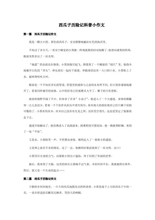 西瓜子历险记科普小作文