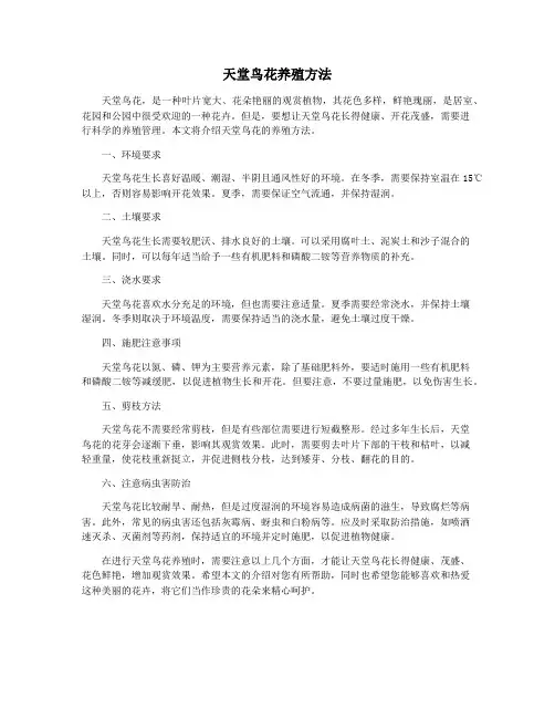 天堂鸟花养殖方法