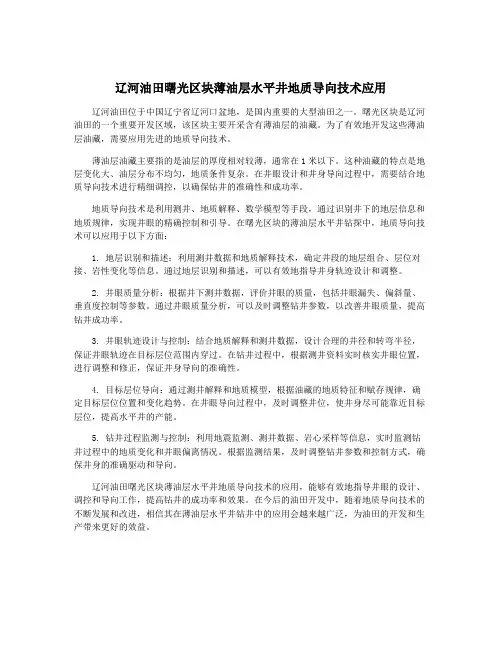 辽河油田曙光区块薄油层水平井地质导向技术应用
