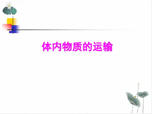 九年级上科学《体内物质的运输》PPT实用课件浙教版4