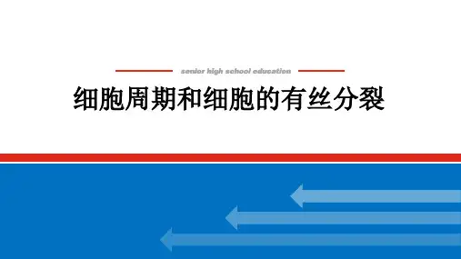 新高考生物人教版一轮复习课件1-4-1细胞周期和细胞的有丝分裂