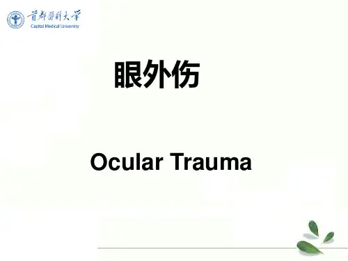 五官类医学课件：第十九章：眼外伤