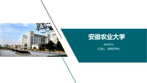 安徽农业大学专用-毕业答辩-PPT模板5