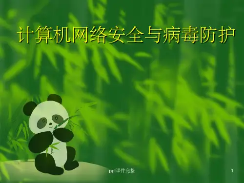 计算机网络安全与病毒防护ppt课件