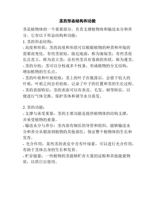 茎的形态结构和功能