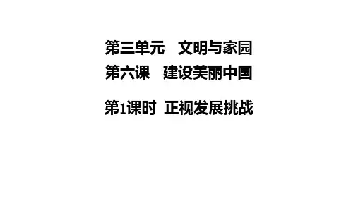 人教版九年级道德与法治上册6.1正视发展挑战(共32张幻灯片)