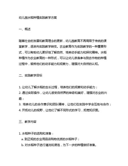 幼儿园水稻种植实践教学方案 幼儿园农业教育