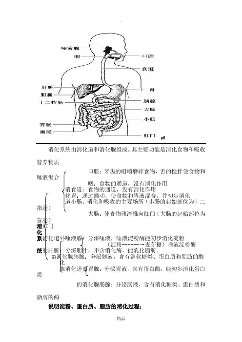 七年级下册生物图79167
