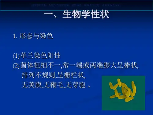 白喉棒状杆菌课件