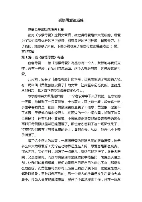 感悟母爱读后感