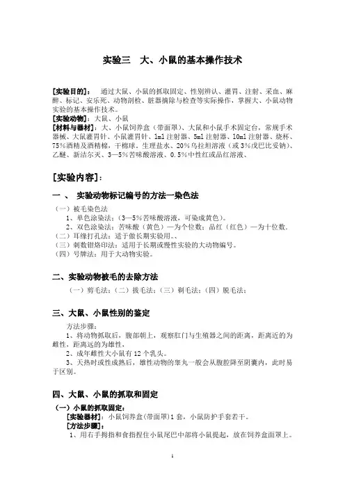 课件医实动学实验(大鼠、小鼠)
