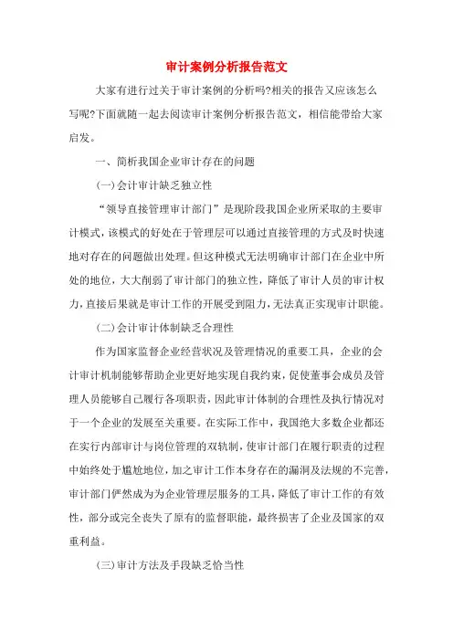 2019年审计案例分析报告范文