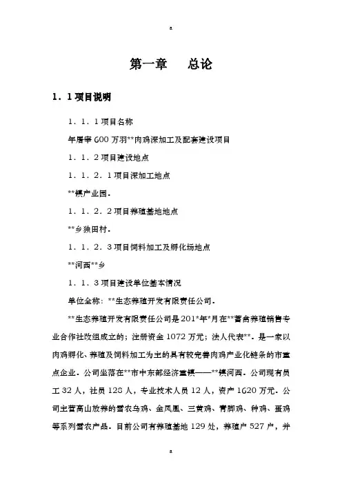 年屠宰600万羽肉鸡深加工及配套建设项目可行性研究报告