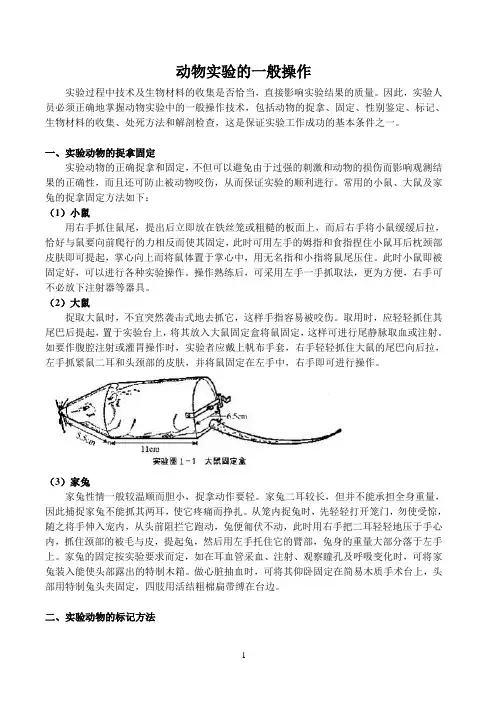 动物实验的常规操作