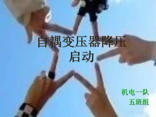 自耦变压器课件