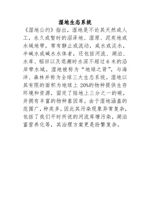 湿地生态系统
