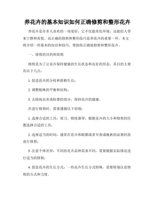 养花卉的基本知识如何正确修剪和整形花卉