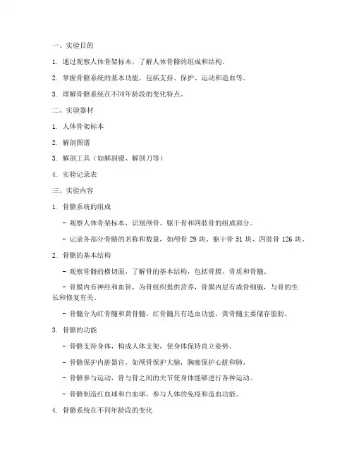 人体骨架结构实验报告