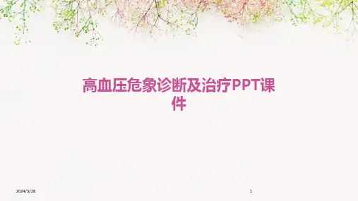 高血压危象诊断及治疗PPT课件-2024鲜版