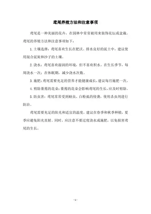 鸢尾养殖方法和注意事项