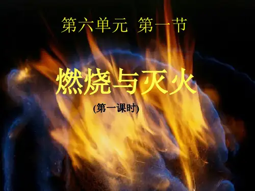 鲁教版九年级化学(上册)第六章第一节 燃烧与灭火课件(共31张PPT)