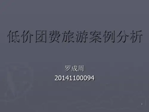 旅游纠纷案例简析PPT课件