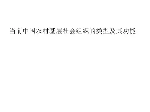当前中国农村基层社会组织的类型及其功能概述(PPT 28张)