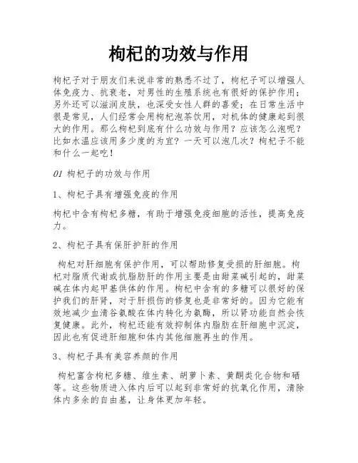 枸杞的功效与作用 