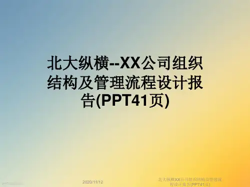 北大纵横XX公司组织结构及管理流程设计报告(PPT41页)