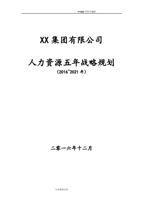 世界500强企业人力资源5年战略规划模板