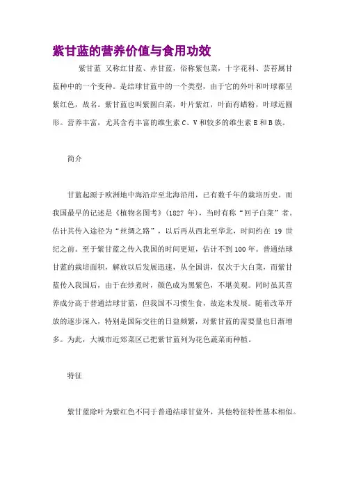 紫甘蓝的营养价值与食用功效