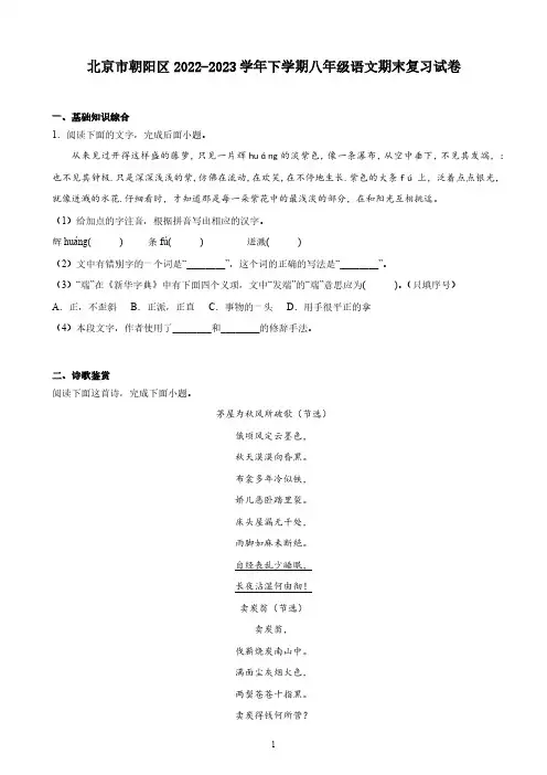 北京市朝阳区2022-2023学年下学期八年级语文期末复习试卷(含答案)