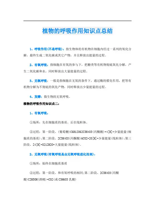 植物的呼吸作用知识点总结