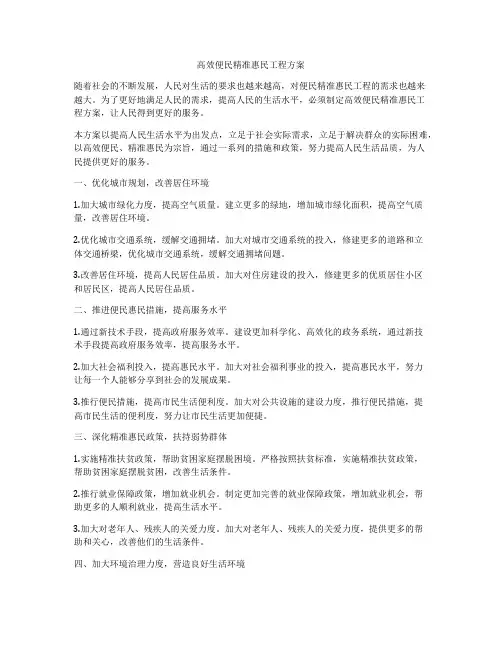 高效便民精准惠民工程方案