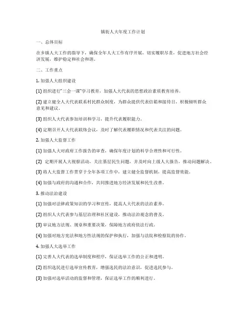 镇街人大年度工作计划