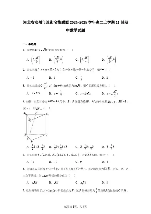 河北省沧州市沧衡名校联盟2024-2025学年高二上学期11月期中数学试题