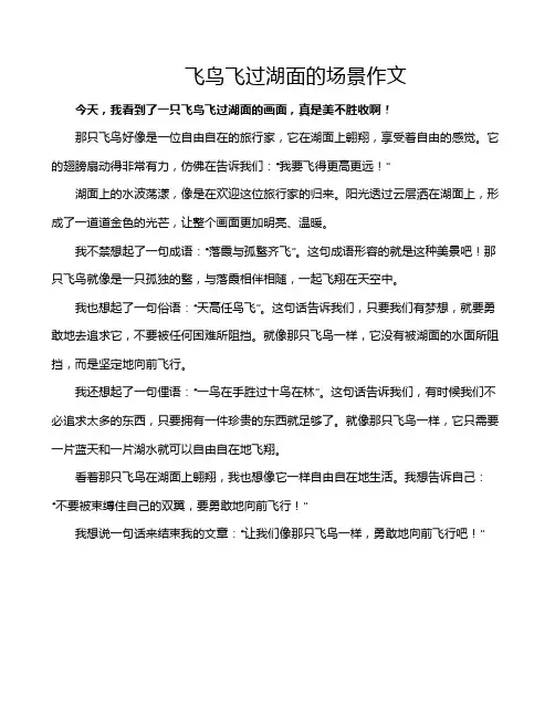 飞鸟飞过湖面的场景作文