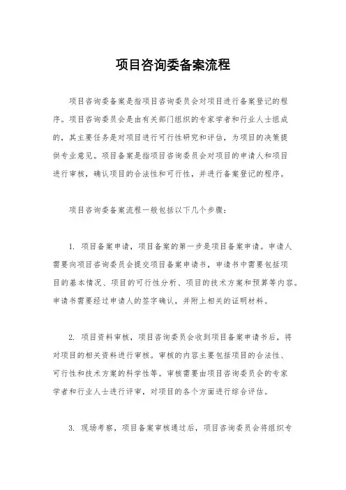 项目咨询委备案流程