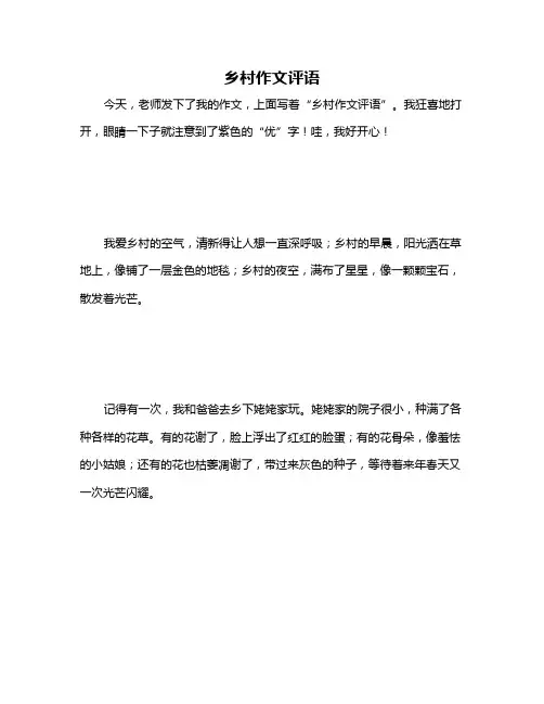 乡村作文评语