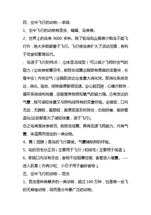 空中飞行的动物