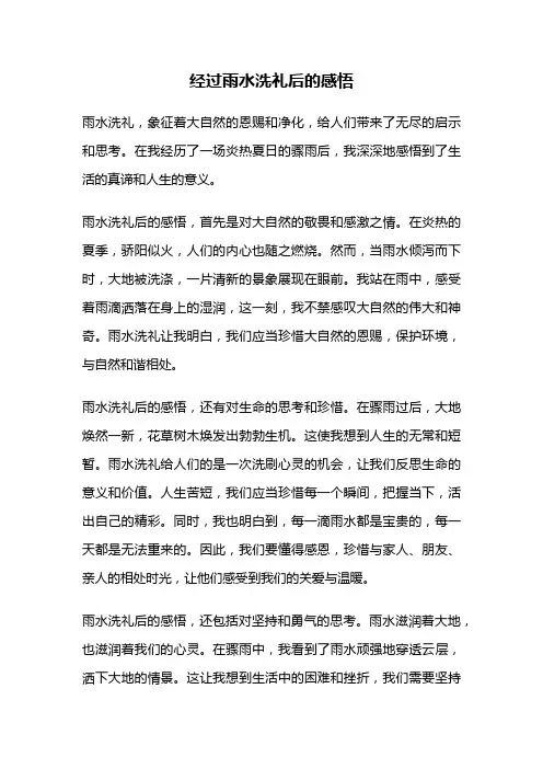 经过雨水洗礼后的感悟